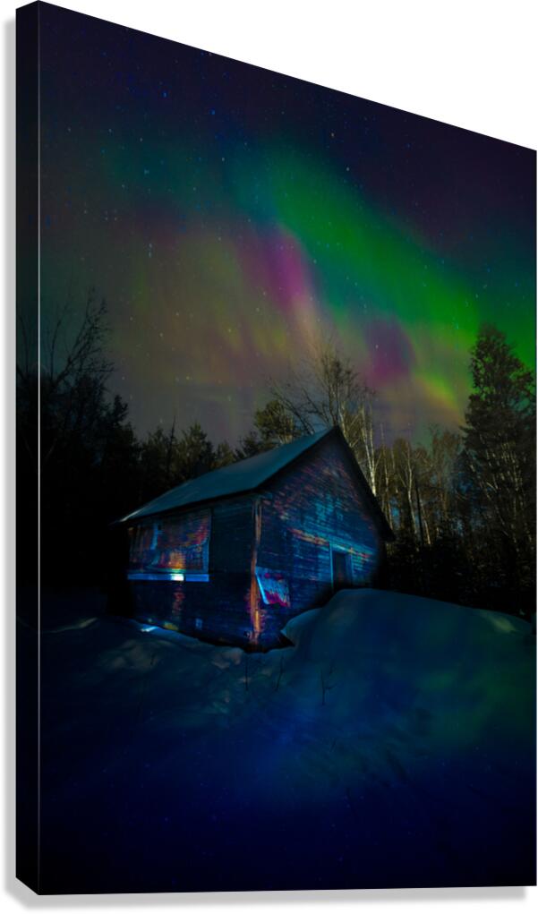 JBS 4795  Canvas Print