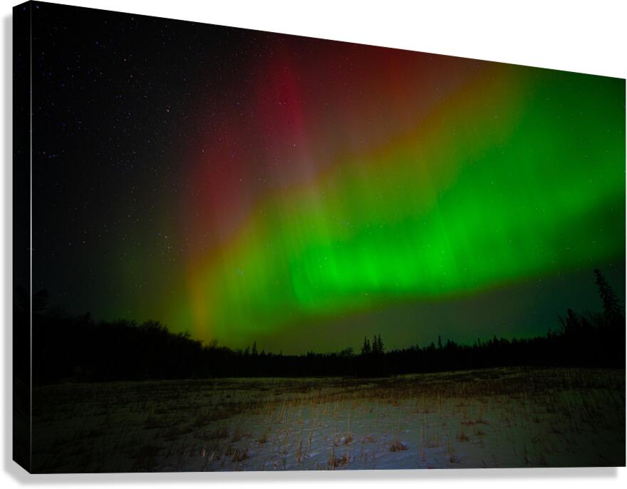 DSC 4379 Canvas Print