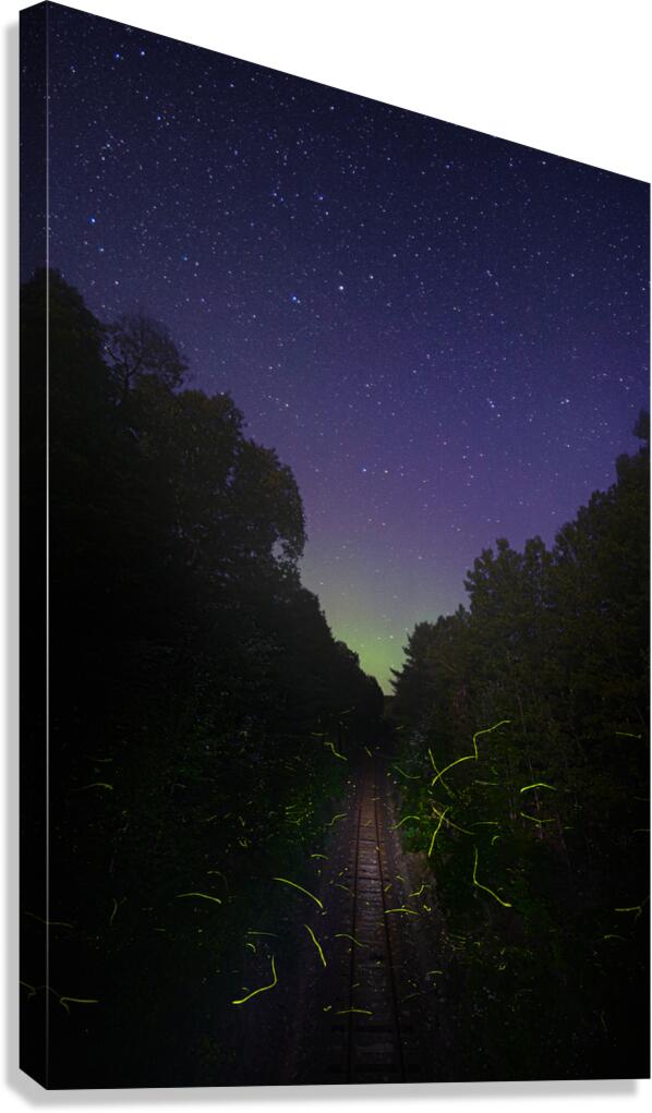 DSC 1684  Canvas Print