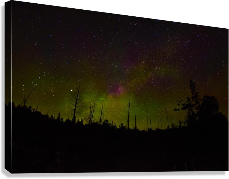 CRC 1489 Canvas Print