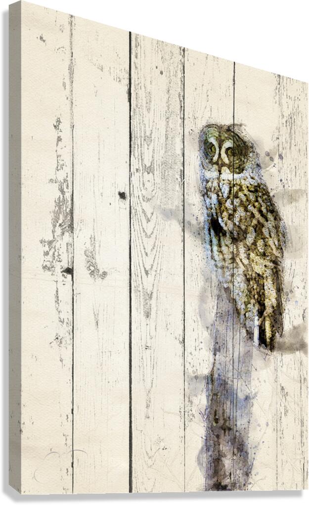 JBS 5420WC 2 Canvas Print