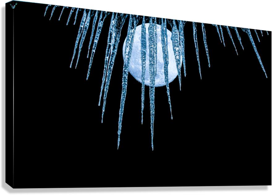 JBS 5262 Canvas Print