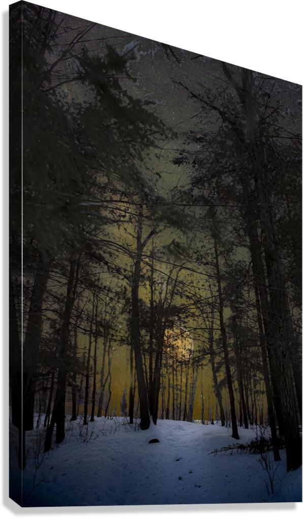 JBS 8747  Canvas Print