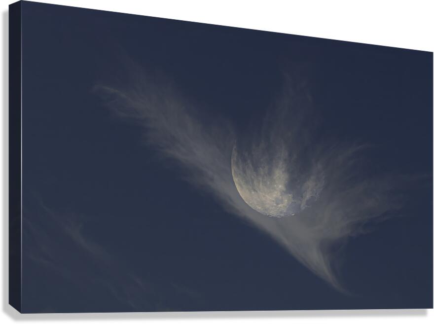 JBS 3341 Canvas Print