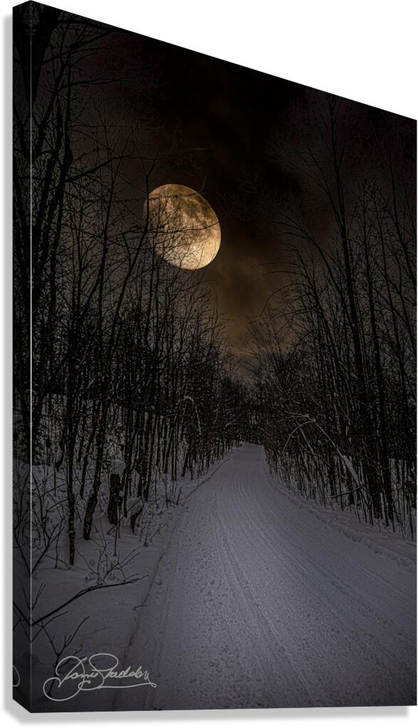 DSC 4177  Canvas Print