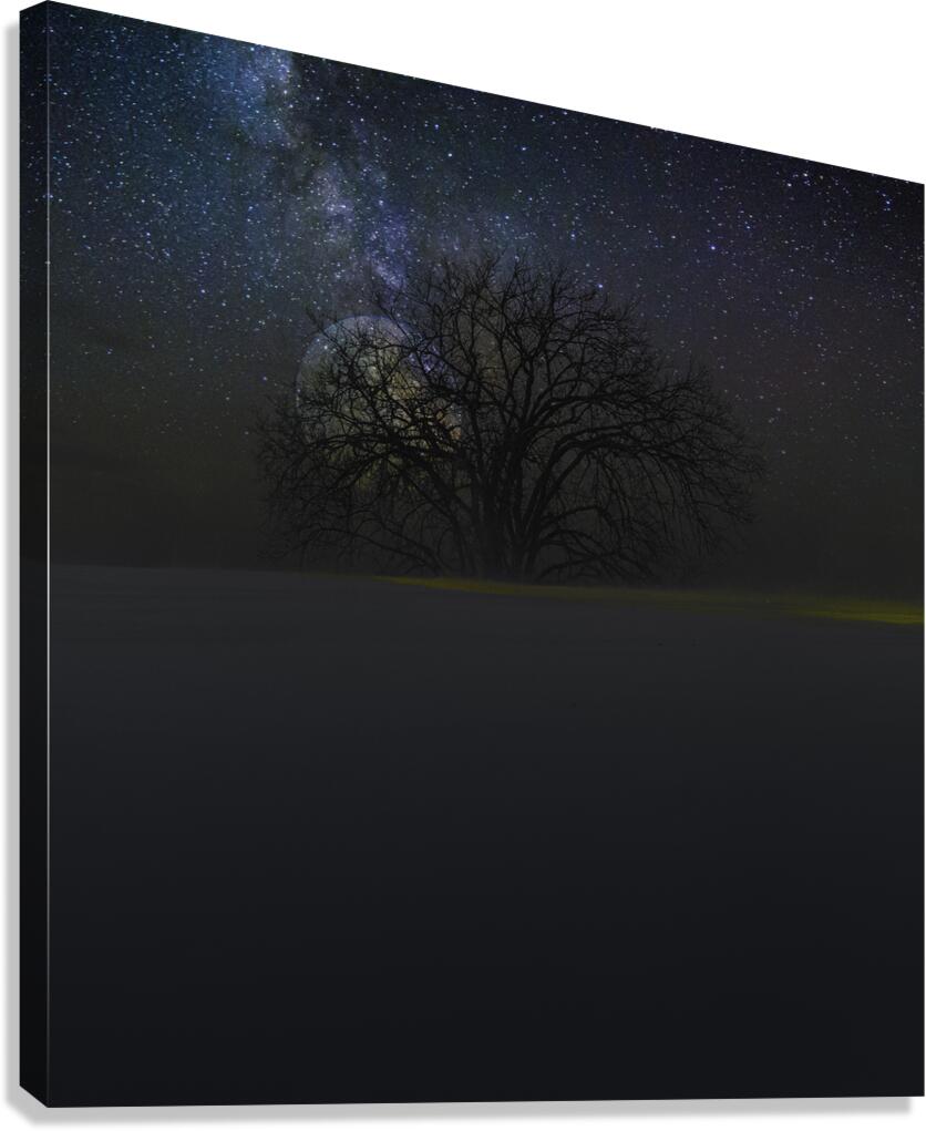 JBS 6098  Canvas Print