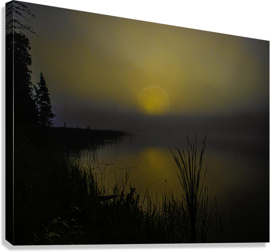 JBS 2558  Canvas Print