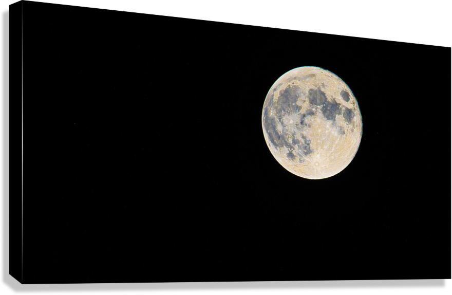 DSC 5705  Canvas Print