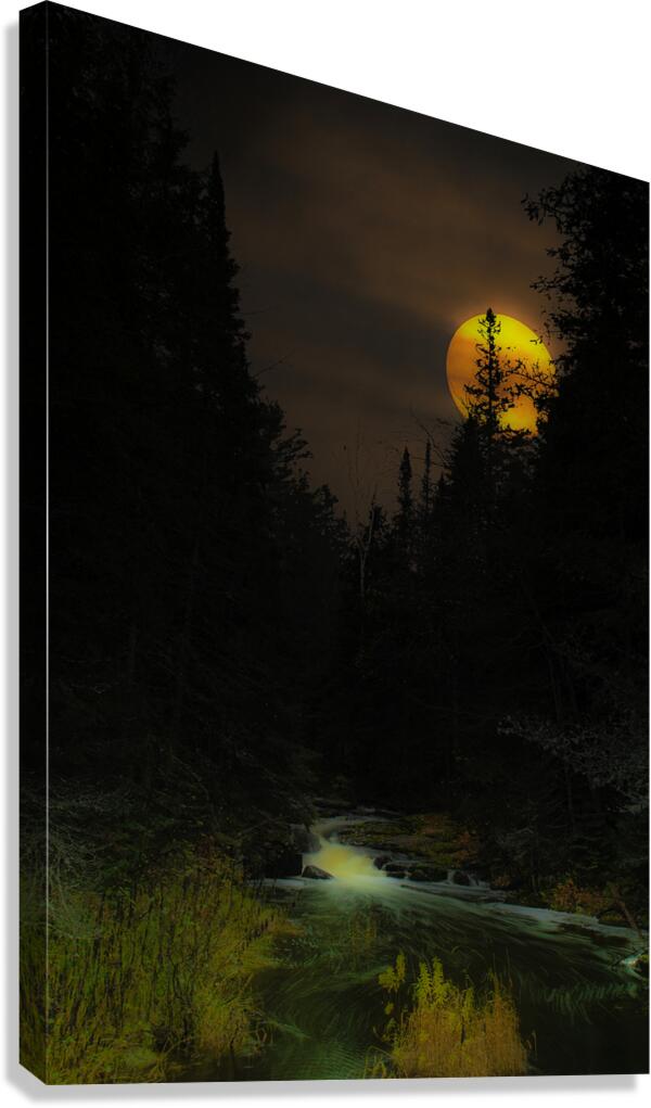 JBS 7068 sun Canvas Print