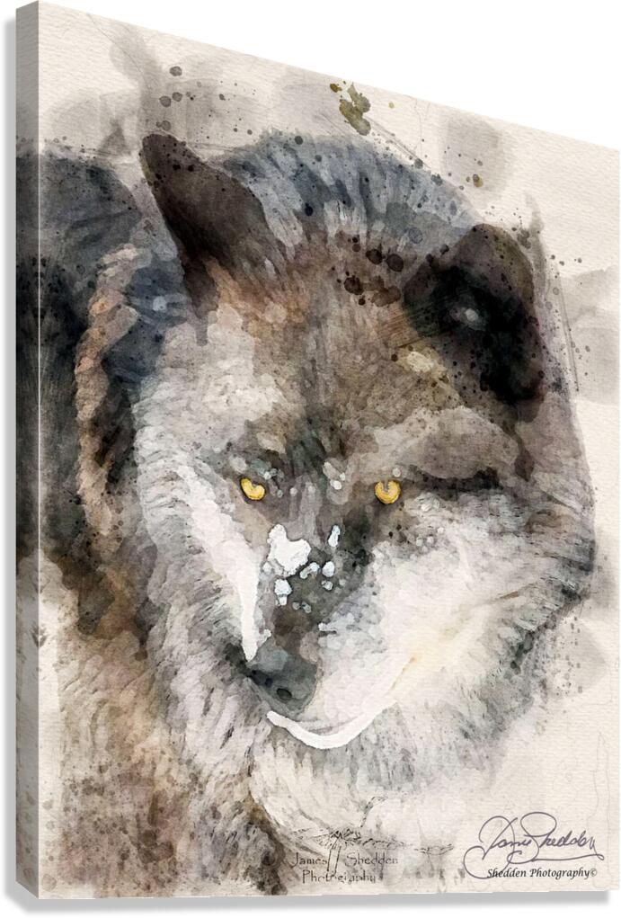 JBS 9093WC Canvas Print