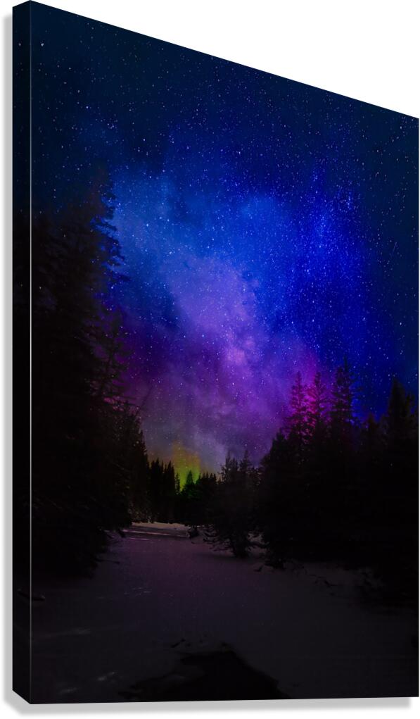 JBS 6008  Canvas Print