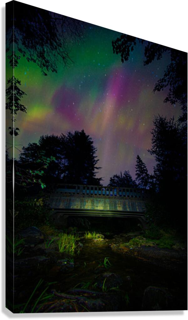 JBS 6232  Canvas Print