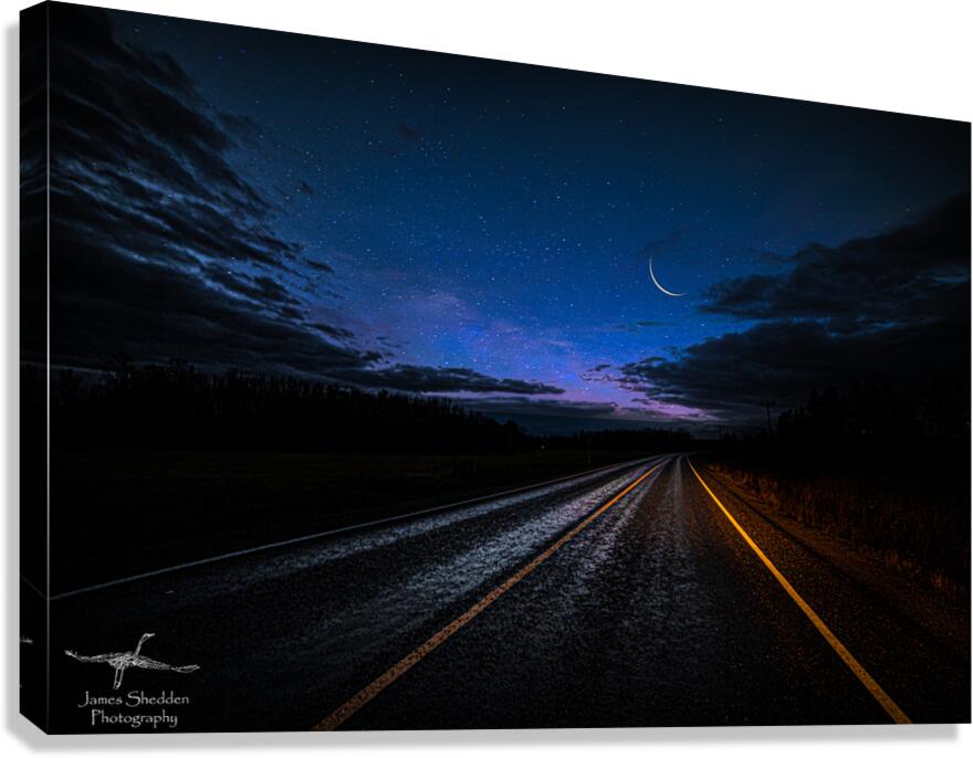 DSC 3446  Canvas Print