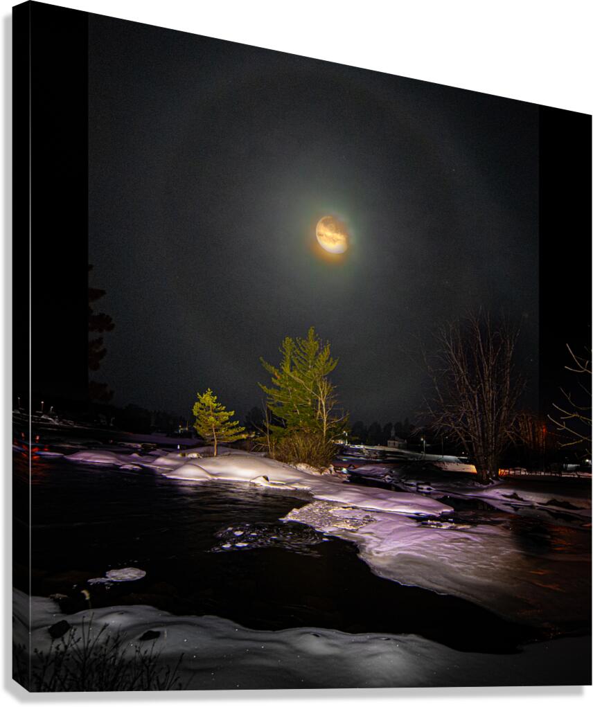 DSC 4341  Canvas Print