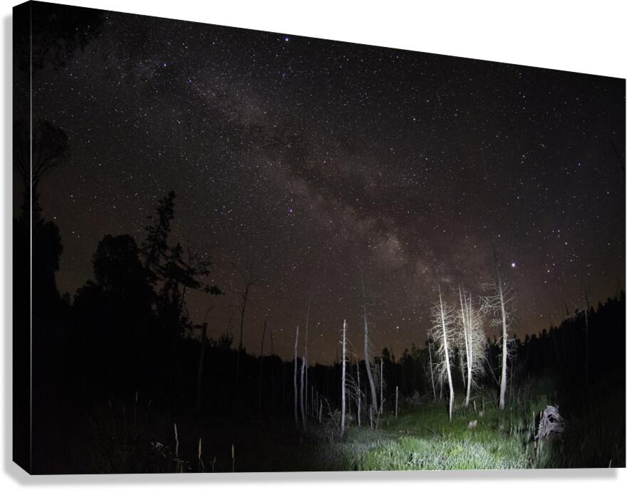 CRC 1492 Canvas Print