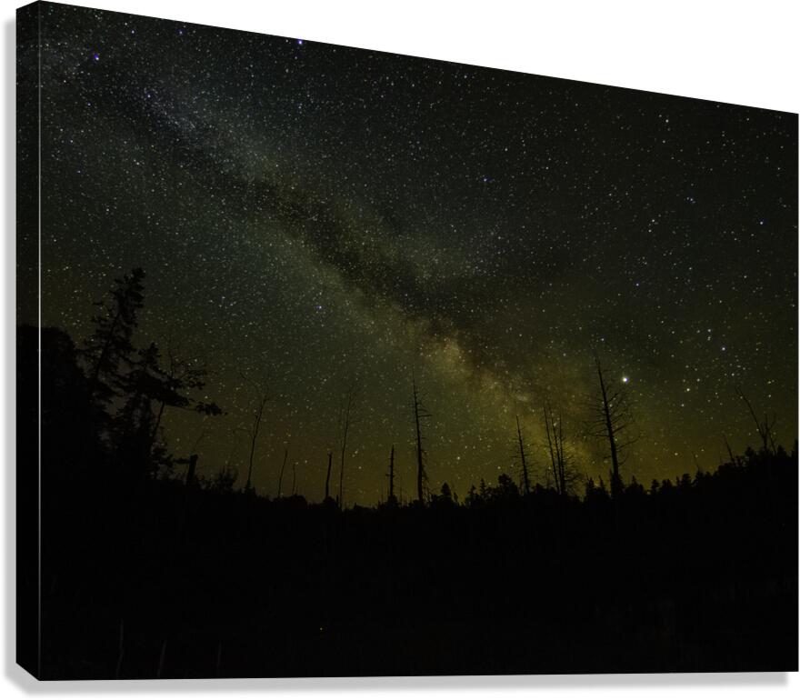 CRC 1490 Canvas Print