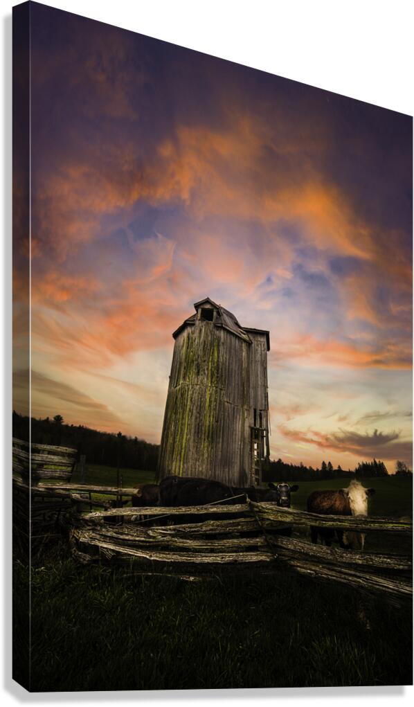 DSC 4632  Canvas Print