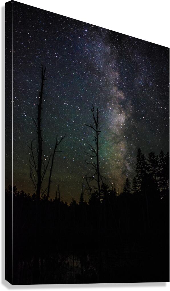 JBS 2510 Canvas Print