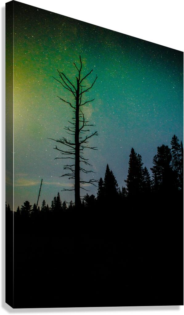 JBS 3718 Canvas Print