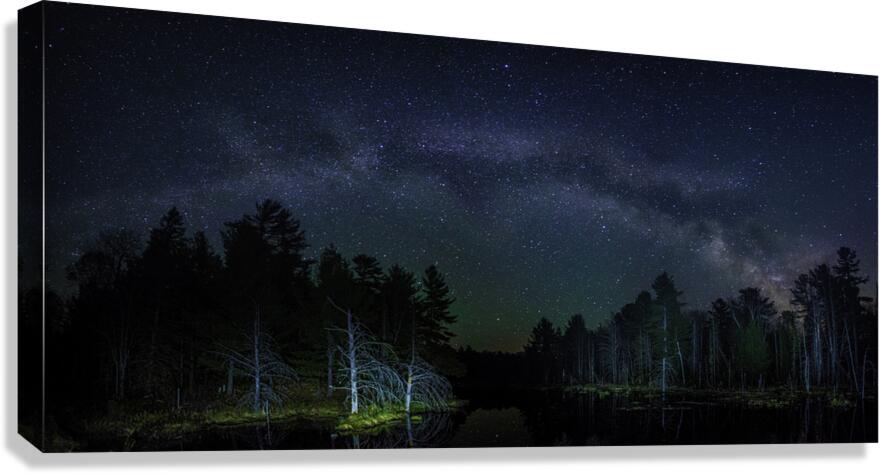 JBS 1292  Canvas Print