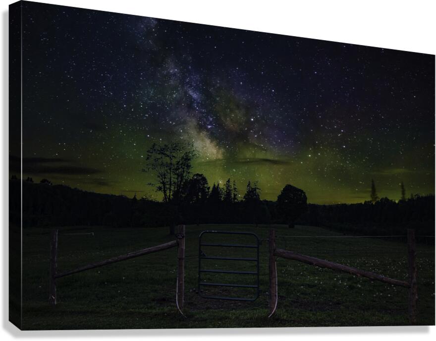 JBS 2438 1 Canvas Print