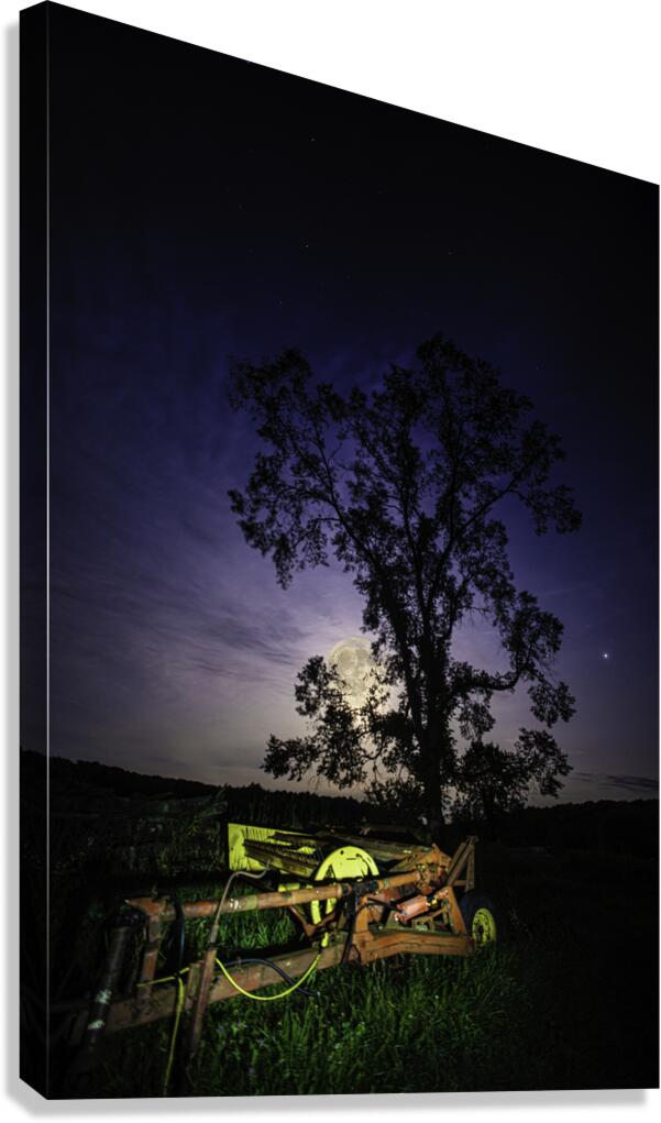 JBS 3459  Canvas Print