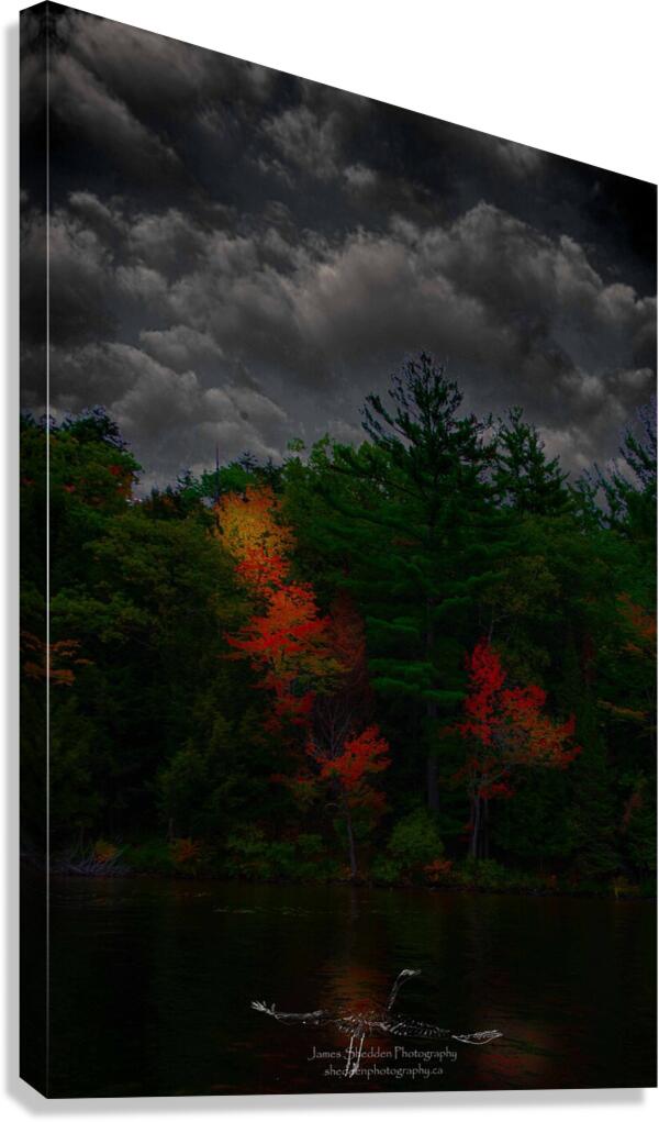 JBS 4749  Canvas Print