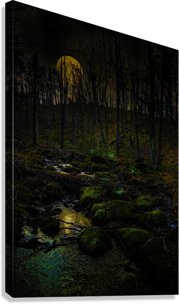 JBS 9682 Canvas Print