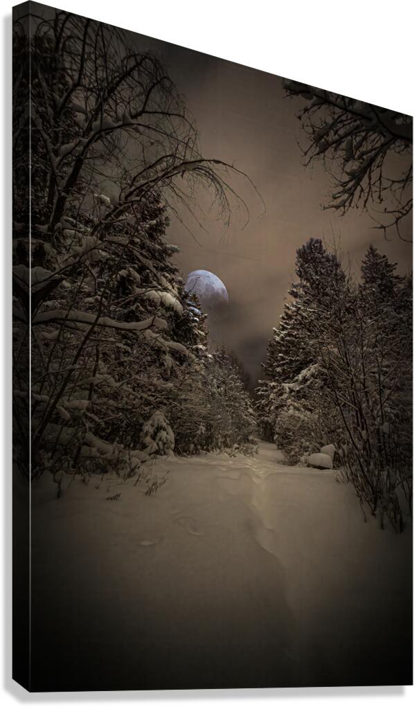 Z62 0235 Canvas Print