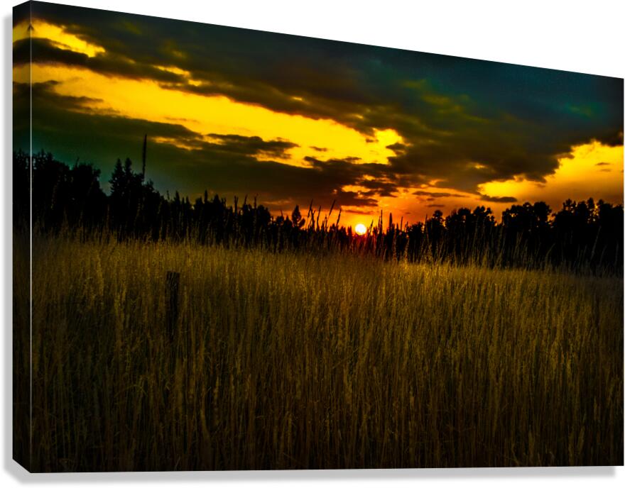 JBS 5786 Canvas Print