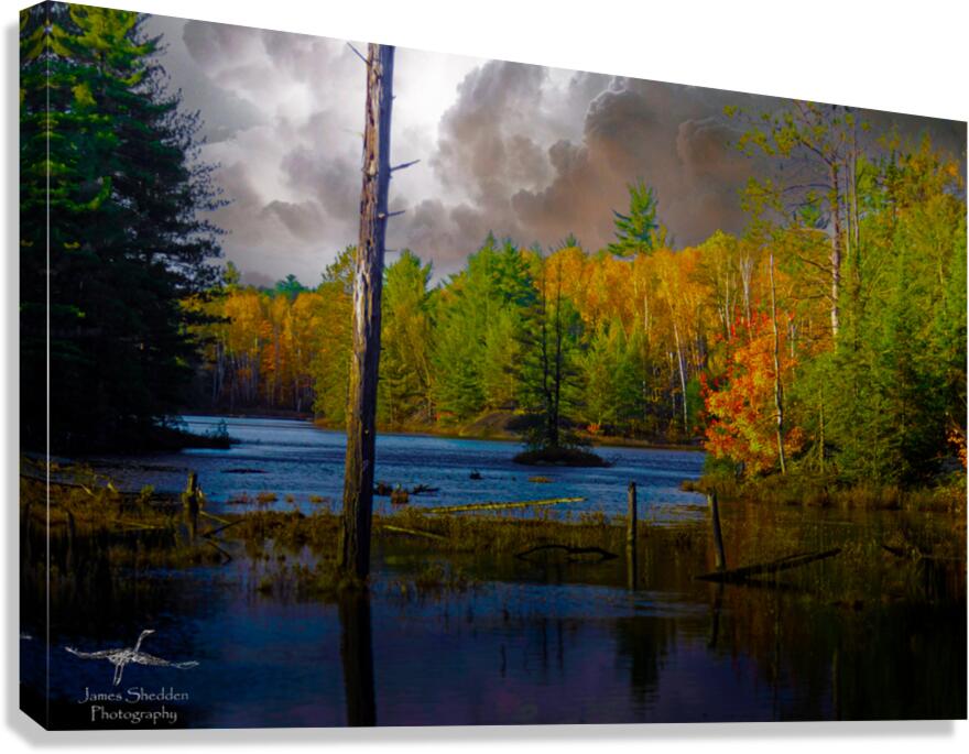  JBS4221 Canvas Print