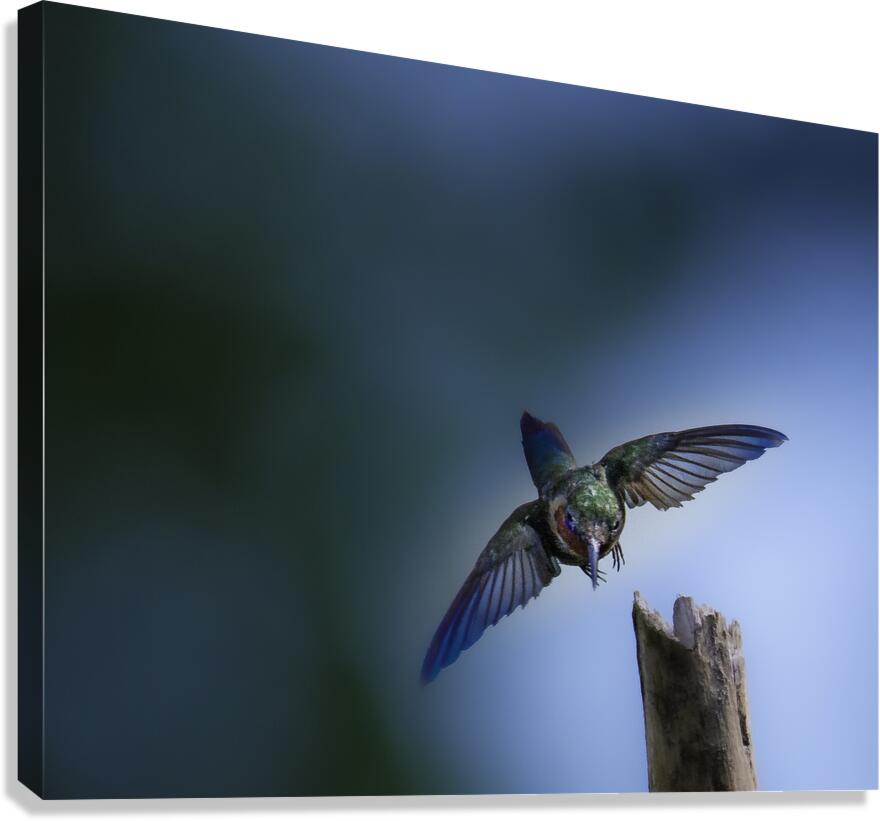 JBS 2832 Canvas Print