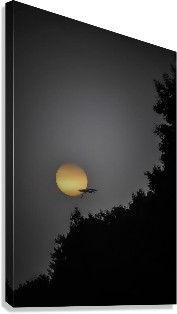 HERON SUNRISE2 Canvas Print
