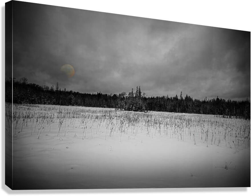 ZJS 9284 2  Canvas Print