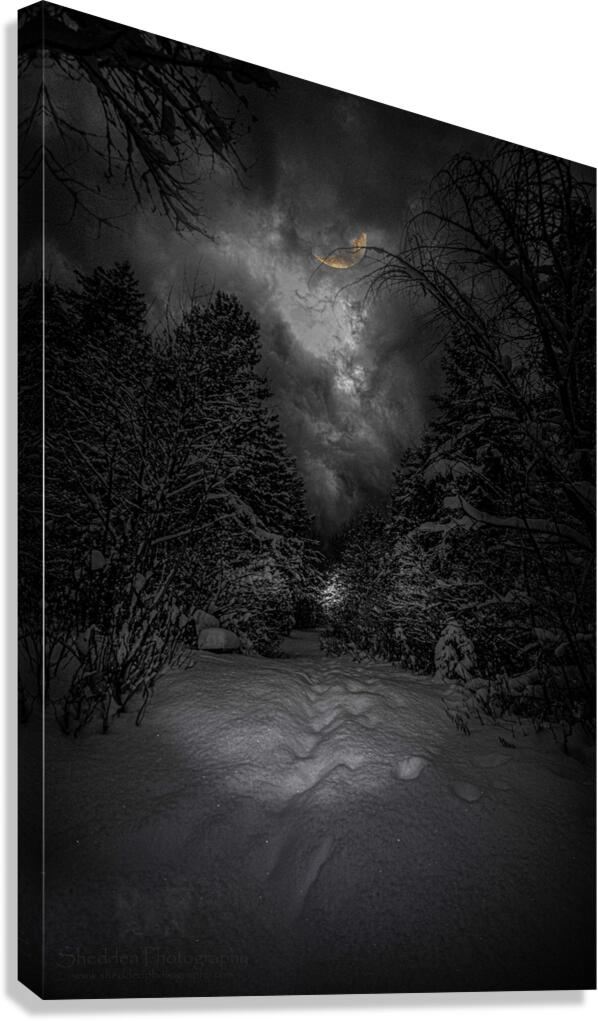 Z62 0237  Canvas Print