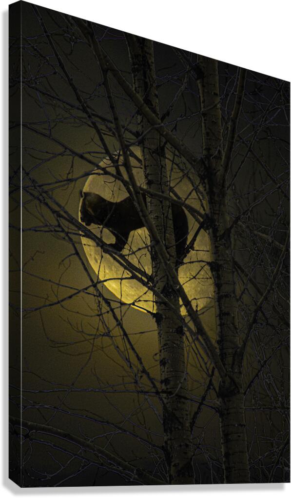 JBS 5294 2 Canvas Print