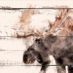 BULL MOOSE ABSTRACT