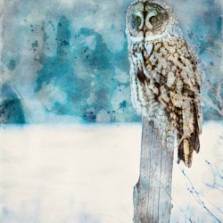 jbs 5420 owl abstract