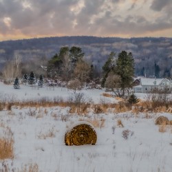 ZJS 9136 Edit 2 Edit