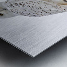 DSC 1876  Metal print