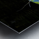 JBS 1007 Metal print