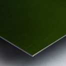 JBS 1467 Metal print