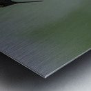 JBS 1233 Metal print