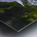 seagull  Metal print