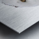 DSC 1876 2 Metal print