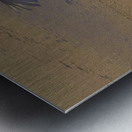 DSC 5806  Metal print