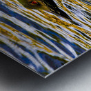 JBS 2215  Metal print