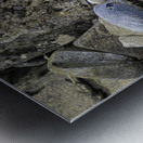 JBS 1629 2 Metal print