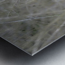 JBS 0660 Metal print