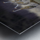 JBS 0650 Metal print